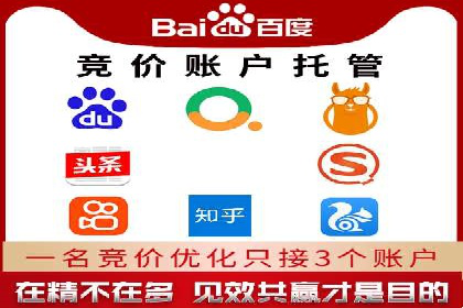 百度广告投放策略与效果评估案例